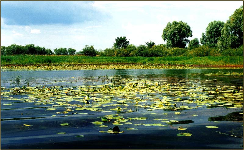 фото "the Summer Dream" метки: пейзаж, вода