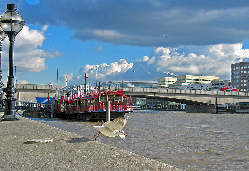 photo "Flight of a gull" tags: travel, Europe