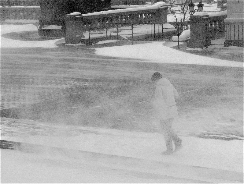 Метель 2. Joy fields Blizzard photo.