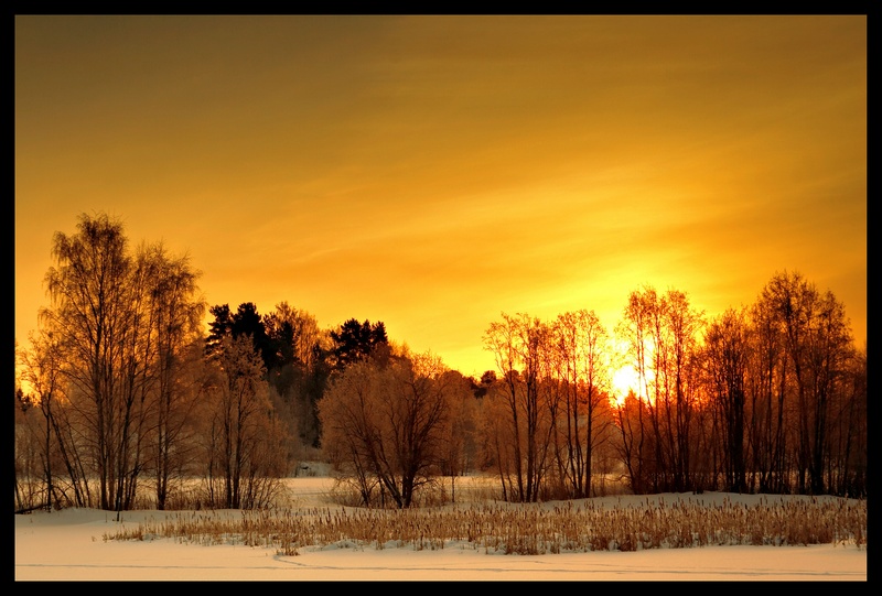 фото "Golden morning" метки: пейзаж, зима