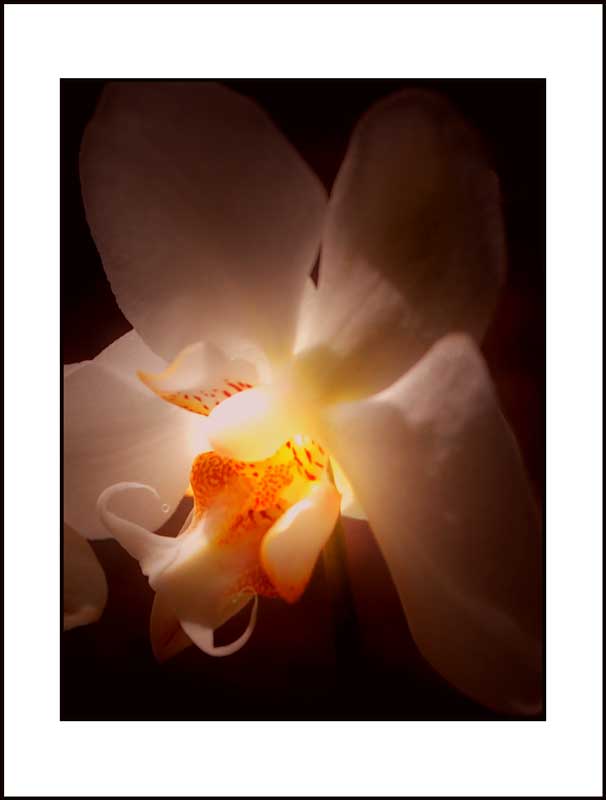 photo "***" tags: , 
