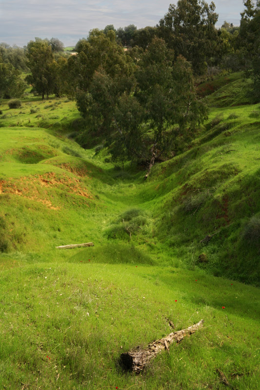 photo "Hills" tags: landscape, spring