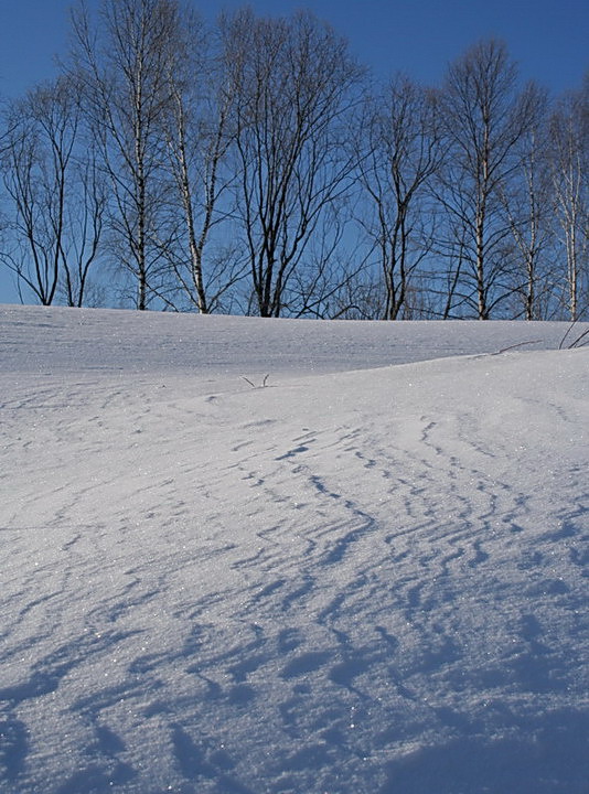 photo "The fallen asleep wave" tags: landscape, winter