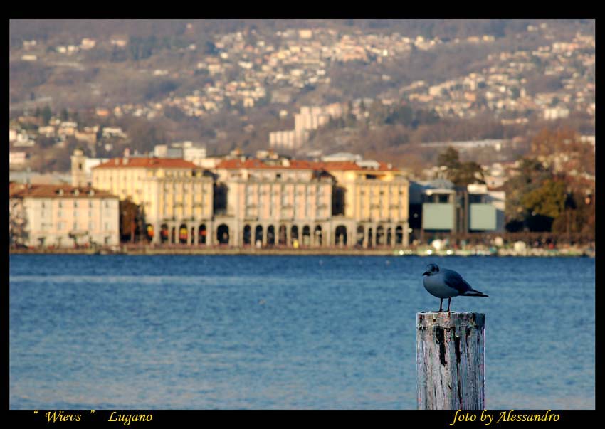 фото "lugano" метки: путешествия, Европа