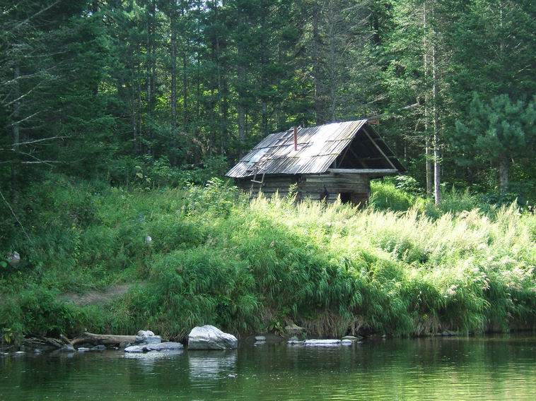 фото "Дом для охотников" метки: пейзаж, лес, лето
