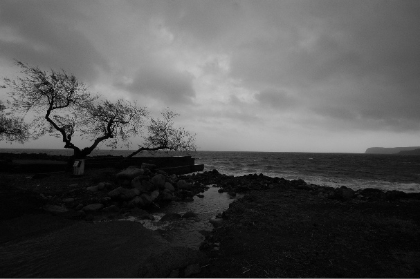 photo "Alone, against all odds" tags: black&white, landscape, water