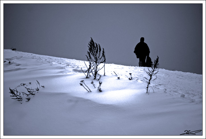photo "***" tags: landscape, genre, winter