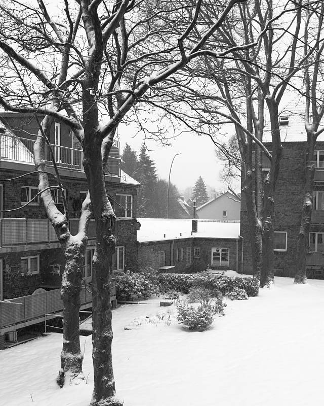 photo "***" tags: black&white, landscape, winter