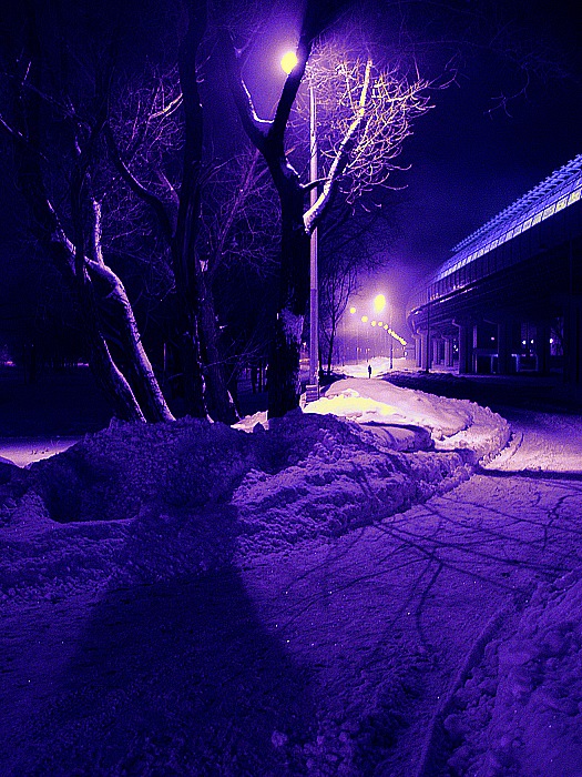photo "***" tags: landscape, night, winter