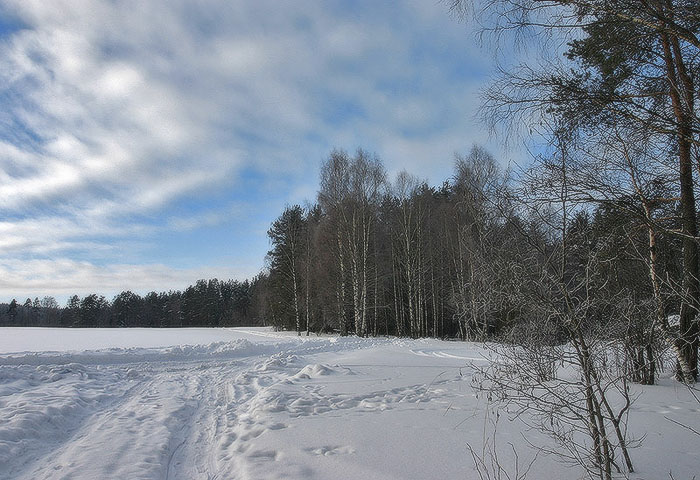 фото "Морозно" метки: пейзаж, зима, лес