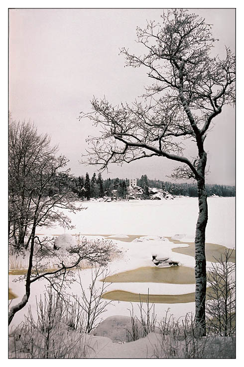 photo "***" tags: landscape, forest, winter