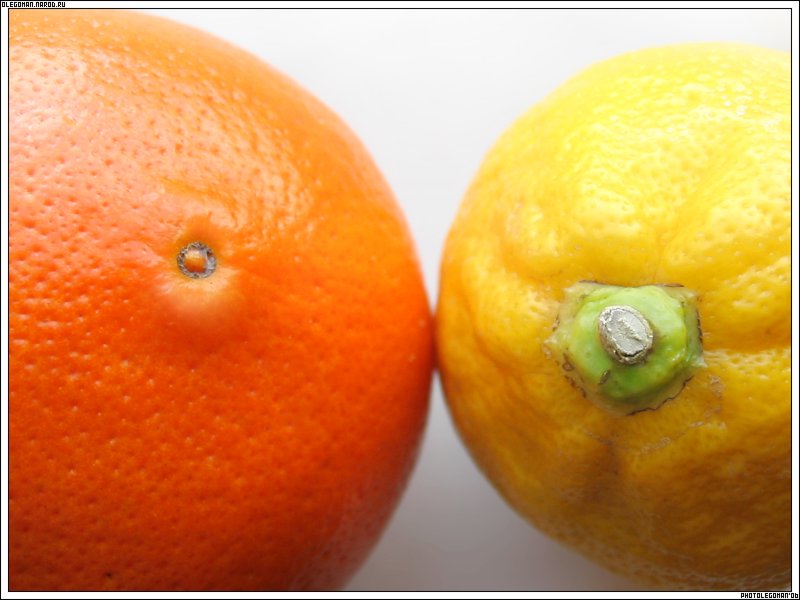 photo "Citruses" tags: still life, 