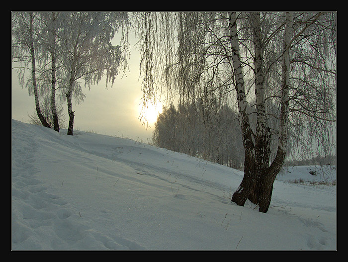 фото "Утро" метки: пейзаж, зима