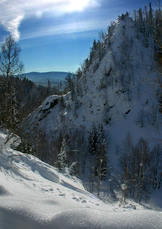 photo "Taiga" tags: landscape, winter
