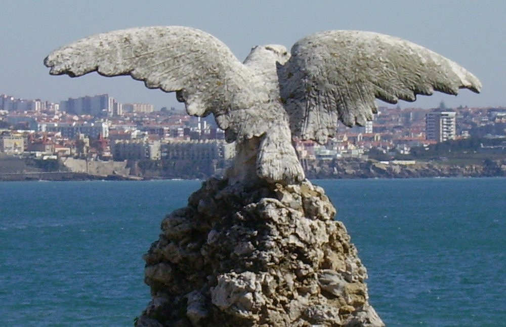 photo "The eagle over the ocean" tags: landscape, water