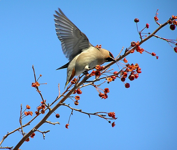 photo "* * *" tags: nature, wild animals