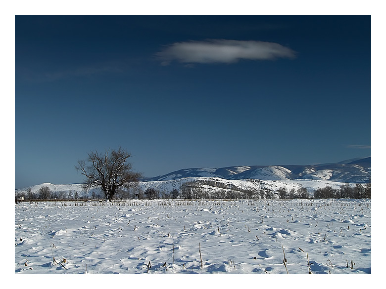 photo "Wintere white" tags: landscape, winter