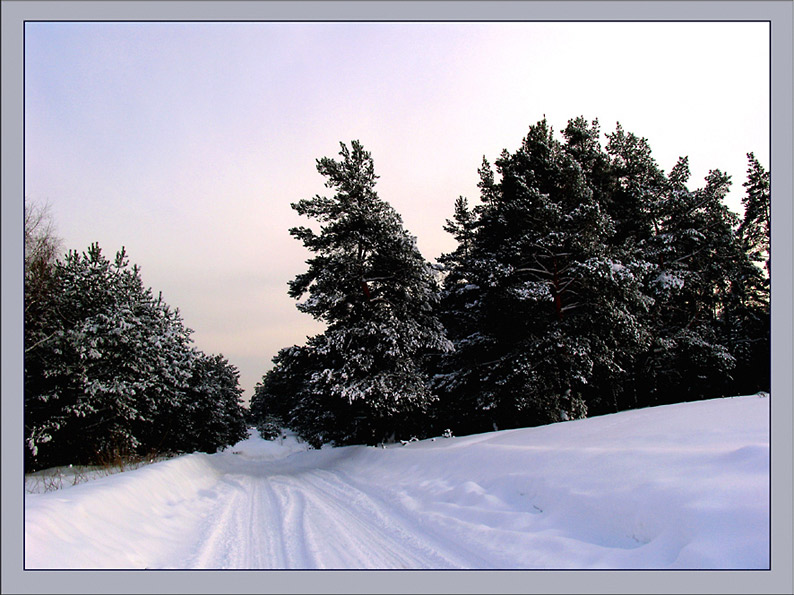 photo "***" tags: landscape, forest, winter