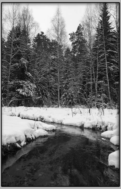 фото "Молодая зима" метки: пейзаж, вода, лес