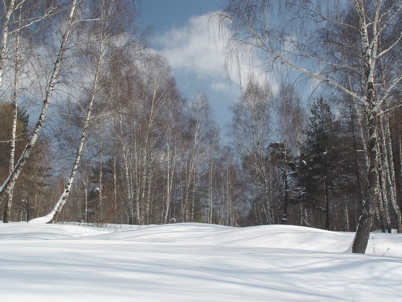 photo "***" tags: landscape, forest, winter