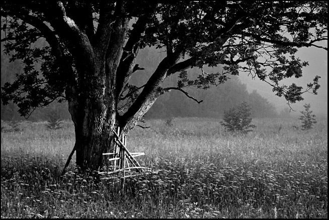 photo "***" tags: landscape, black&white, summer