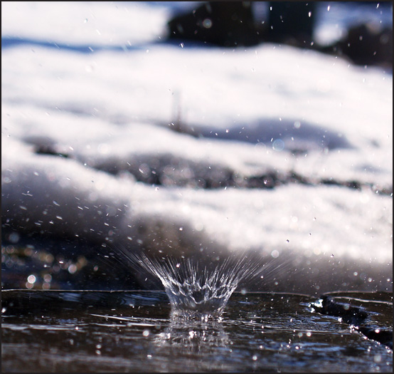 photo "Life as a water drop" tags: macro and close-up, nature, 