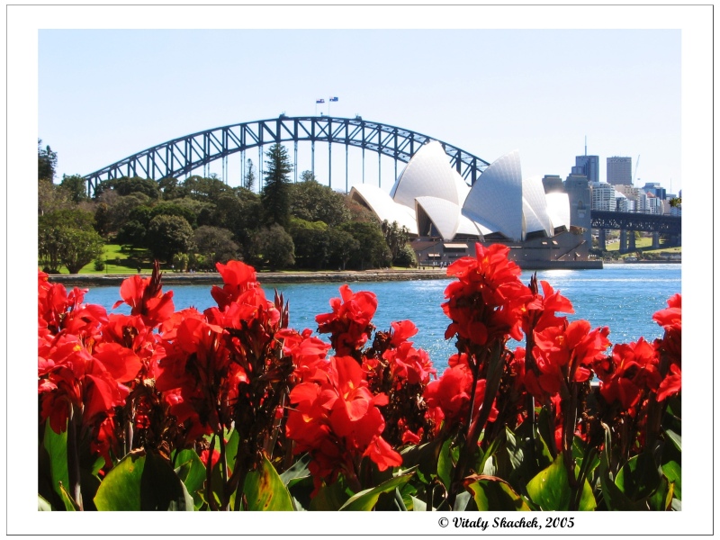 photo "Sydney Bridge and Opera House" tags: travel, architecture, landscape, Australia