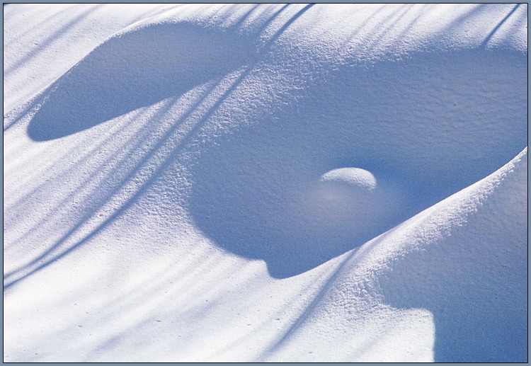 photo "Snow" tags: landscape, travel, North America, winter