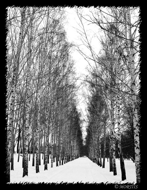photo "Long winter" tags: landscape, winter
