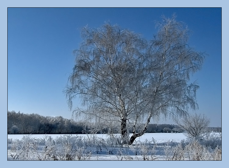 фото "Утро" метки: пейзаж, зима
