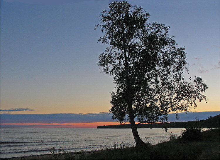 photo "The Karelian birch" tags: landscape, sunset, water