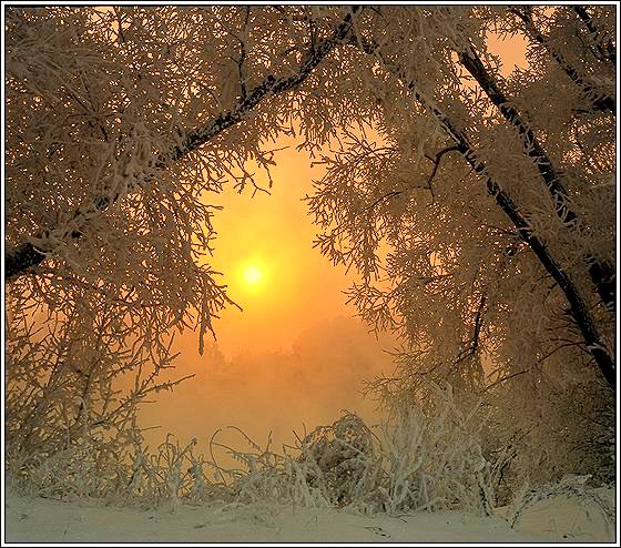 photo "***" tags: landscape, sunset, winter