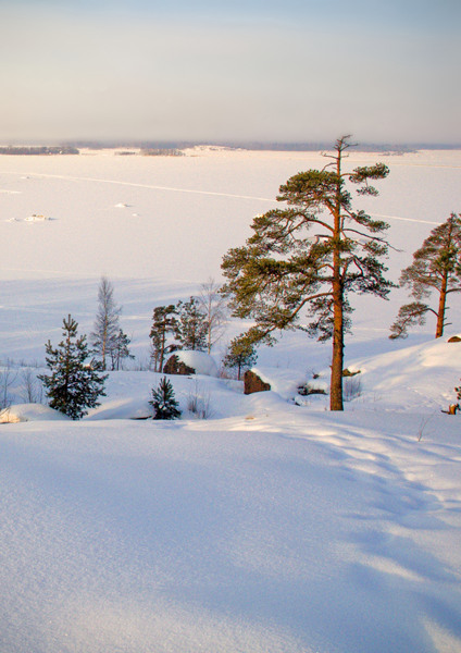 photo "***" tags: landscape, winter