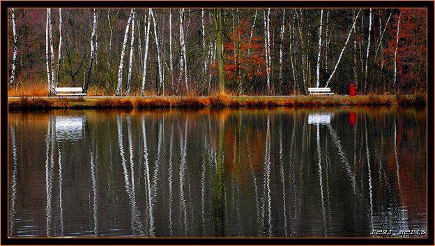 фото "reflection" метки: пейзаж, вода, зима