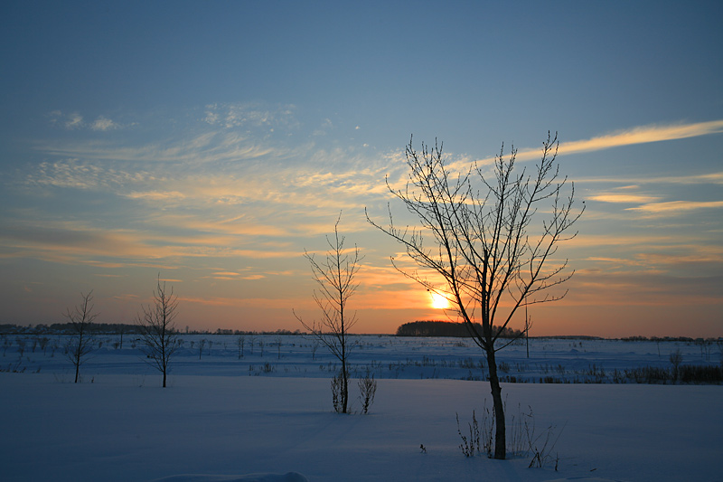 photo "Winter Evening" tags: landscape, sunset, winter