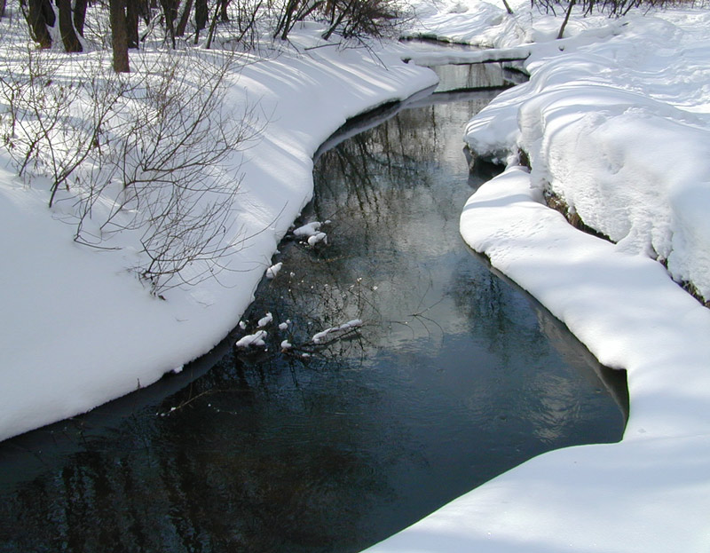 фото "Робкая голубизна" метки: пейзаж, зима