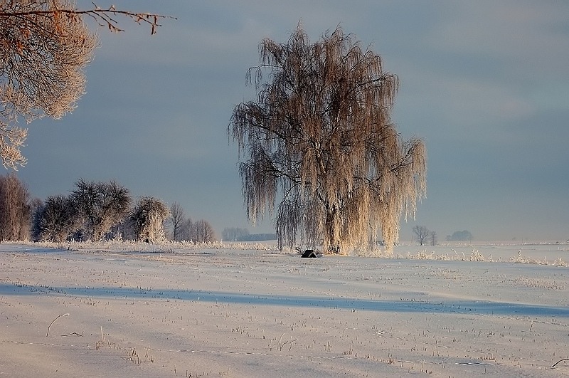 фото "***" метки: пейзаж, зима