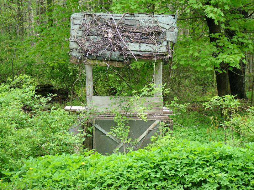 photo "The Haunted Well" tags: landscape, spring