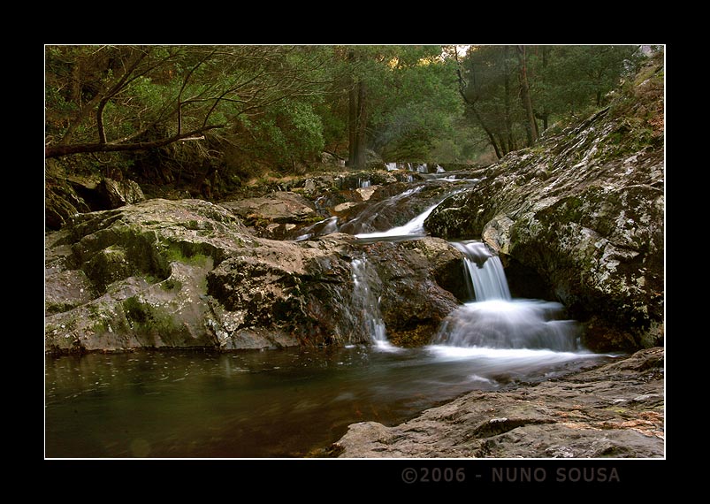 фото "Serra D'arga" метки: , 