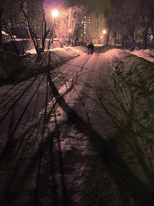 фото "Двое" метки: пейзаж, зима, ночь