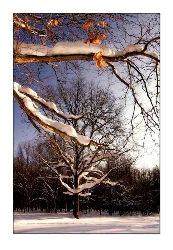 photo "***" tags: landscape, winter