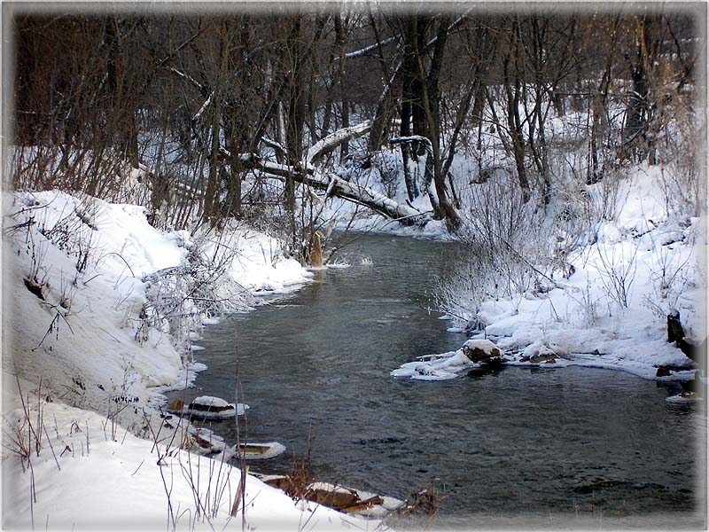 photo "Winter small river" tags: landscape, forest, water