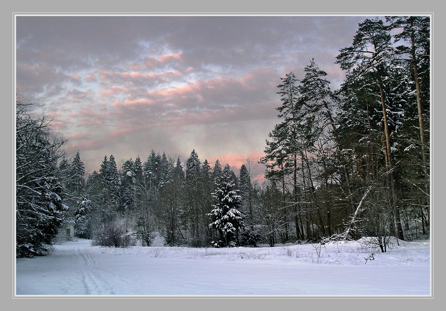 photo "***" tags: landscape, forest, winter