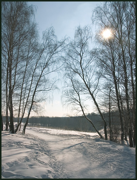 photo "March wood" tags: landscape, winter