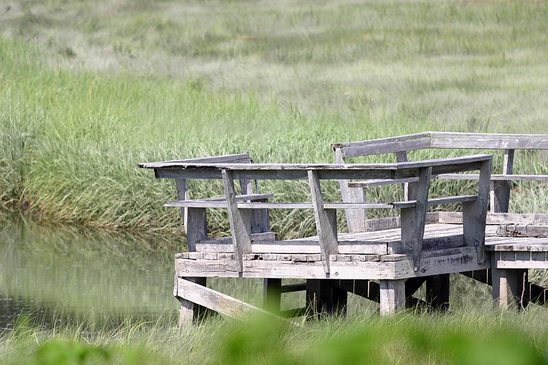 photo "The Old Dock" tags: landscape, summer, water