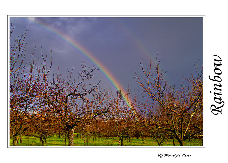 photo "Rainbow." tags: , 