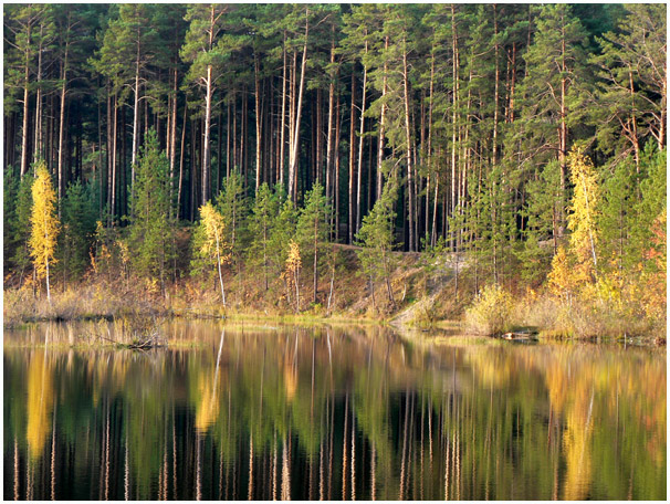 фото "Зеркало" метки: пейзаж, вода, осень
