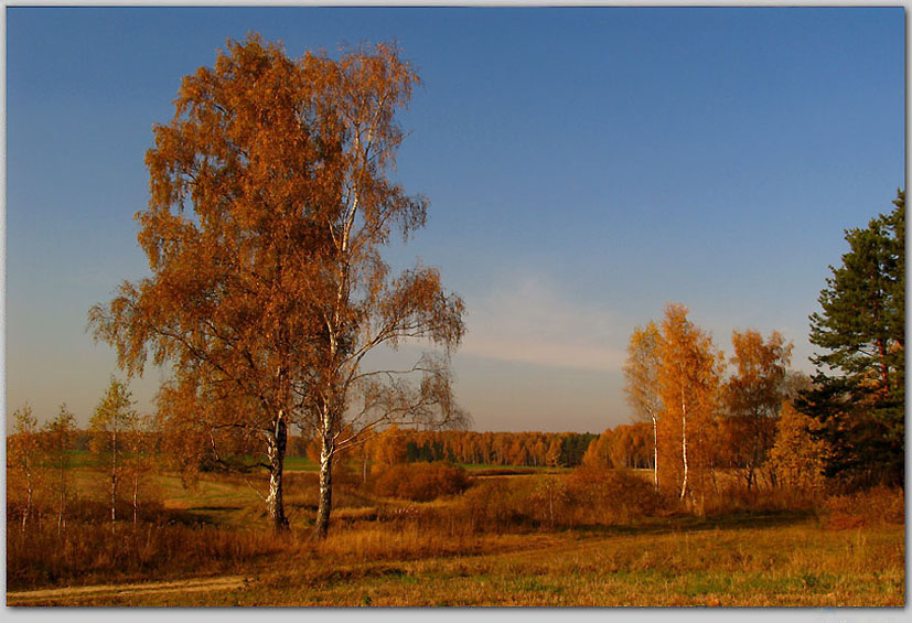 photo "***" tags: landscape, autumn