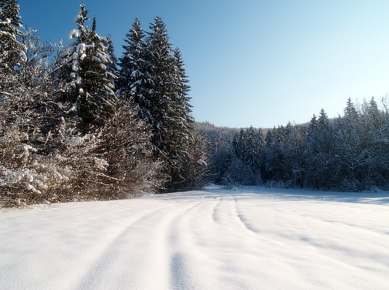 photo "long ,long winter" tags: landscape, winter