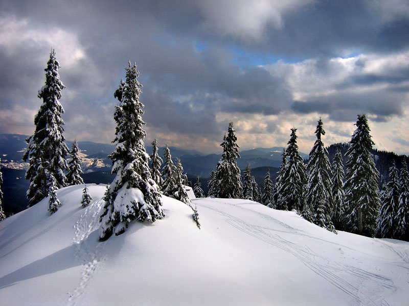 фото "The Rhodopes" метки: пейзаж, горы, зима